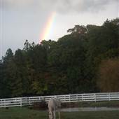 Celestial Meadows Farm