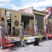 Black Dog Salvage