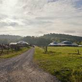Polyface Farms