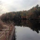 Willcox Lake