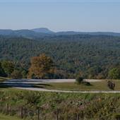 Buffalo Mountain Natural Area Preserve