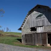 American Chestnut Research Farm