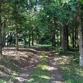 Oak Ridge Farm