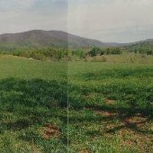 Landscapes- Albemarle County
