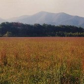 Tye River Valley