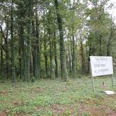 Evergreen Cemetery