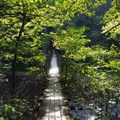 Bullpasture Gorge