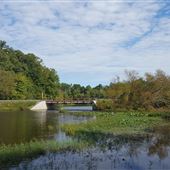 Lake Chesdin Whippernock Campground