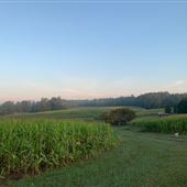 Hemlock Haven Farm