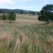Sky Meadows State Park