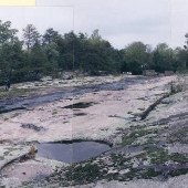 Rock Creek at Jervey Farm Area