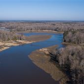 Chickahominy Wildlife Management Area