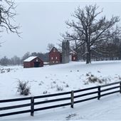 Wolf Farm