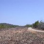 Black Fox Hills Airstrip