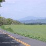 Rochelle Landscapes