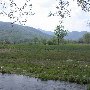 Village of Syria