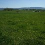 Washington Co