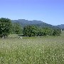 Route 231 - Revercombs Corner