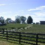 Route 231 - Revercombs Corner