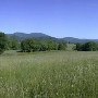 Route 231 - Revercombs Corner