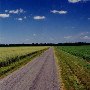 Scenic Roadshot - Brandon Road