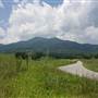 Pharsalia Road Tyro
