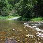 Clover Creek