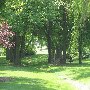 Raflo Park