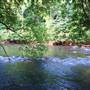 Fish Dam