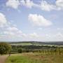 Kluge Winery
