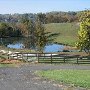 DeLeonardis Farm
