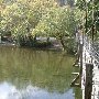 Cowpasture River Footbridge