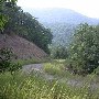 Forest Route 384