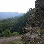 Forest Route 384