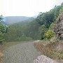 Forest Route 384