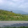 Scenic Roadshots - Rt. 231