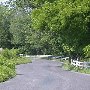 Scenic Roadshots Ivy
