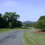 Scenic Roadshots Ivy