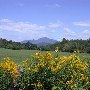 Route 673 Scenics