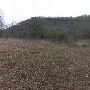 Green Valley Scenics