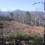 Fancy Hill Logging