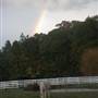 Celestial Meadows Farm