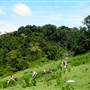 Reba Farm Inn/Saddle Soar