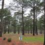 Bethpage Camp Resort