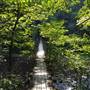 Bullpasture Gorge