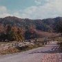 Cattle Farm - Rt 91