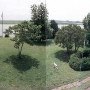 Chelsea Plantation