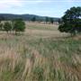 Sky Meadows State Park
