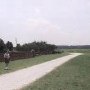 Chelsea Plantation