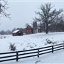 Wolf Farm